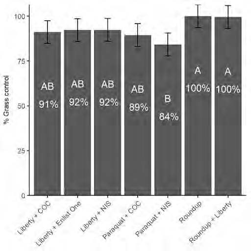 UMF Palmer Fig 5