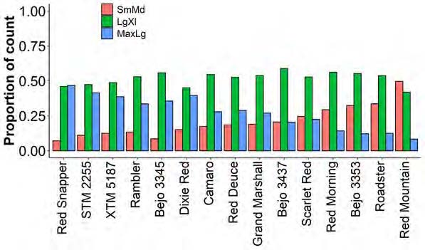 UMF Tomato image 4, 2nd graph