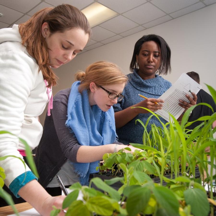 Students and plants 