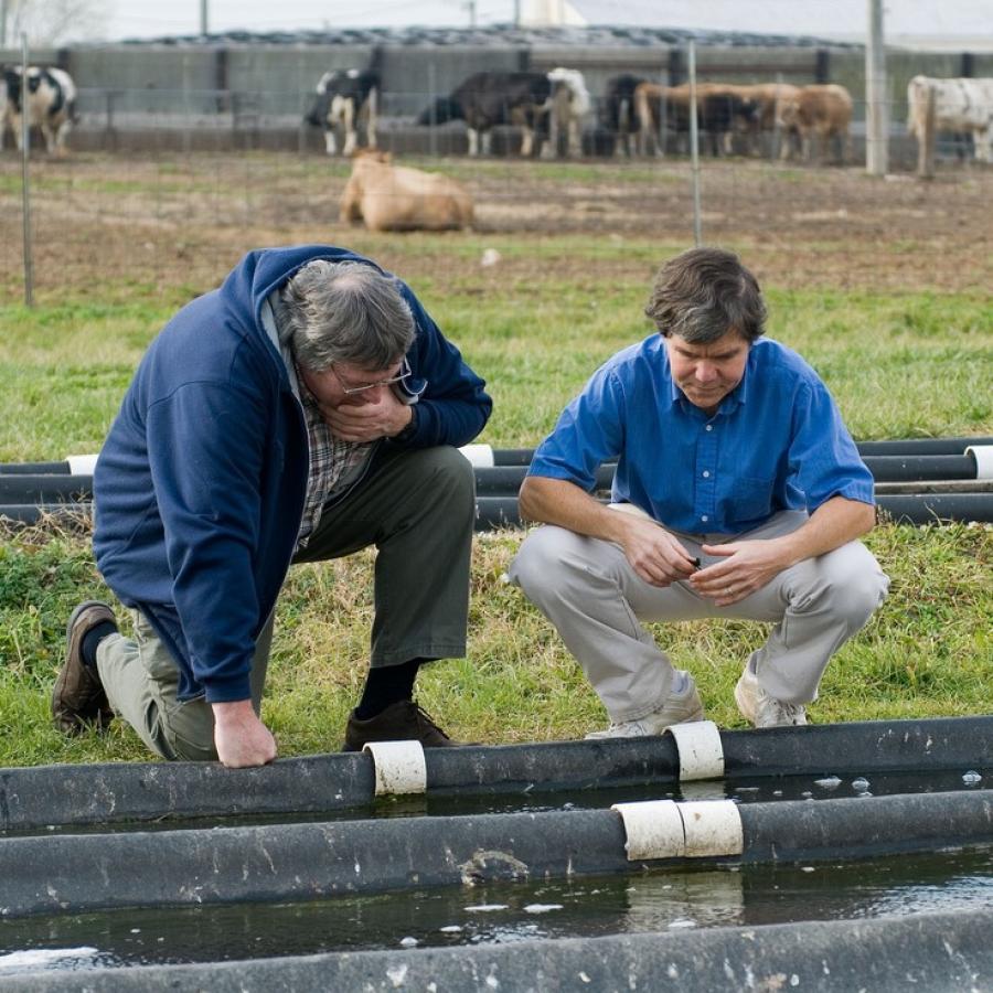 Students in the field 