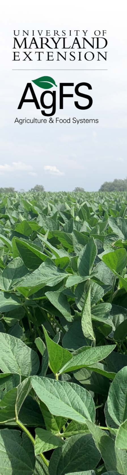 AgFS Soybean pic