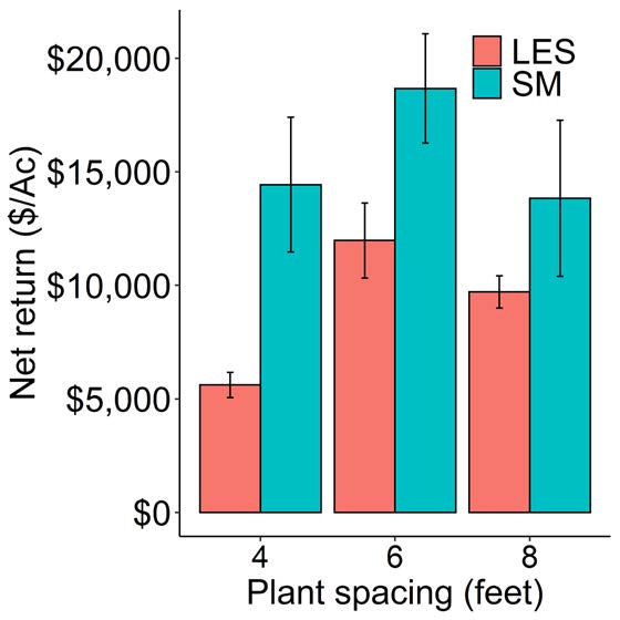Fig 3 Price received for melons