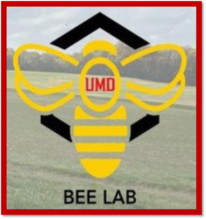 Bee Lab