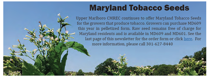MD Tobacco See info