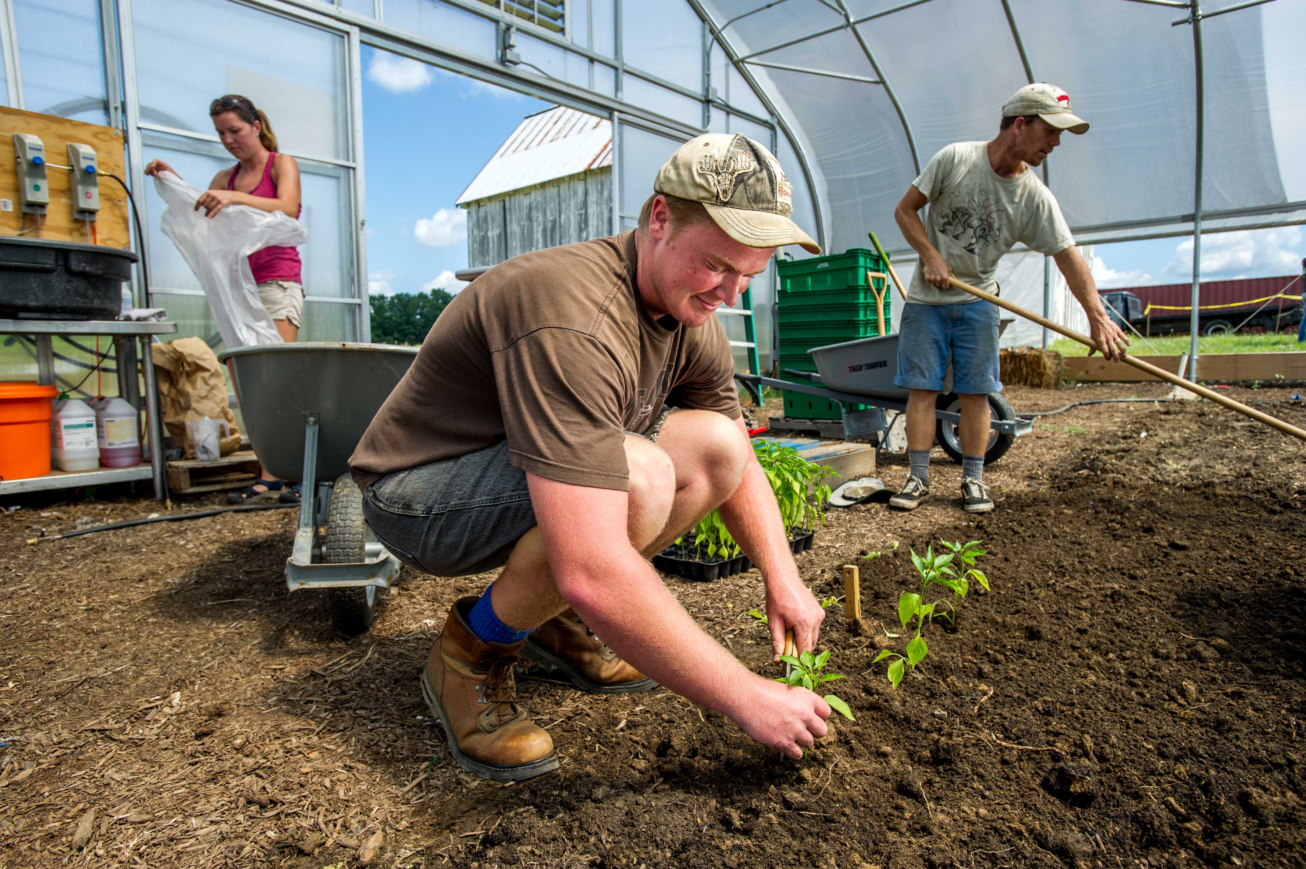 Student at a farm