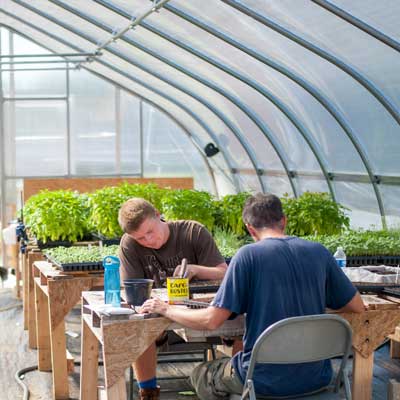 Research in the greenhouse - present day