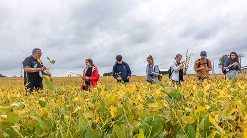 Professor and students in a field