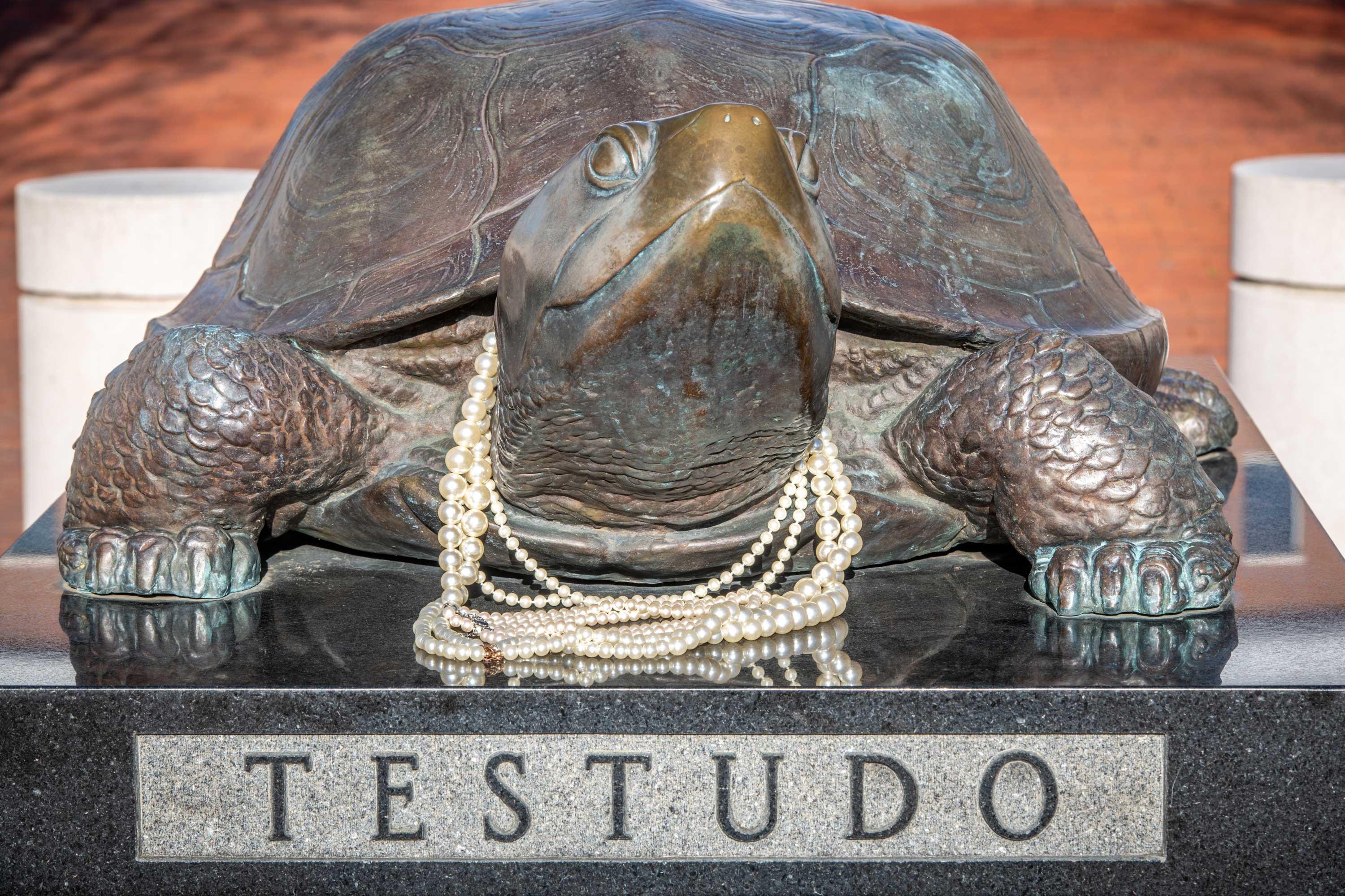 Testudo Pearls