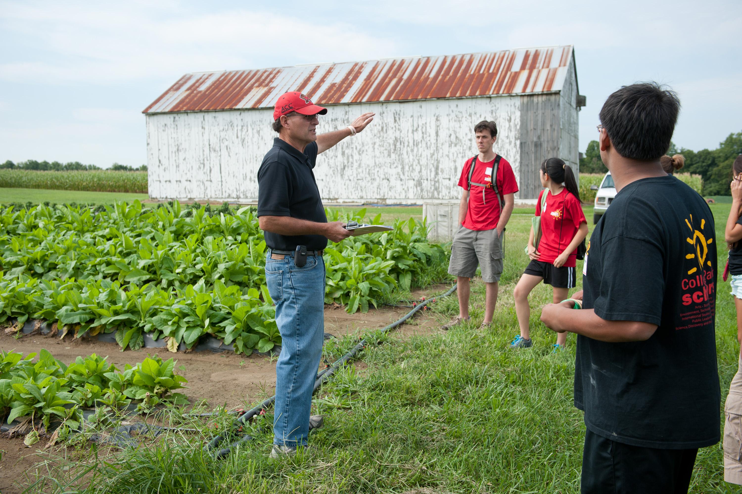 Terp Farm