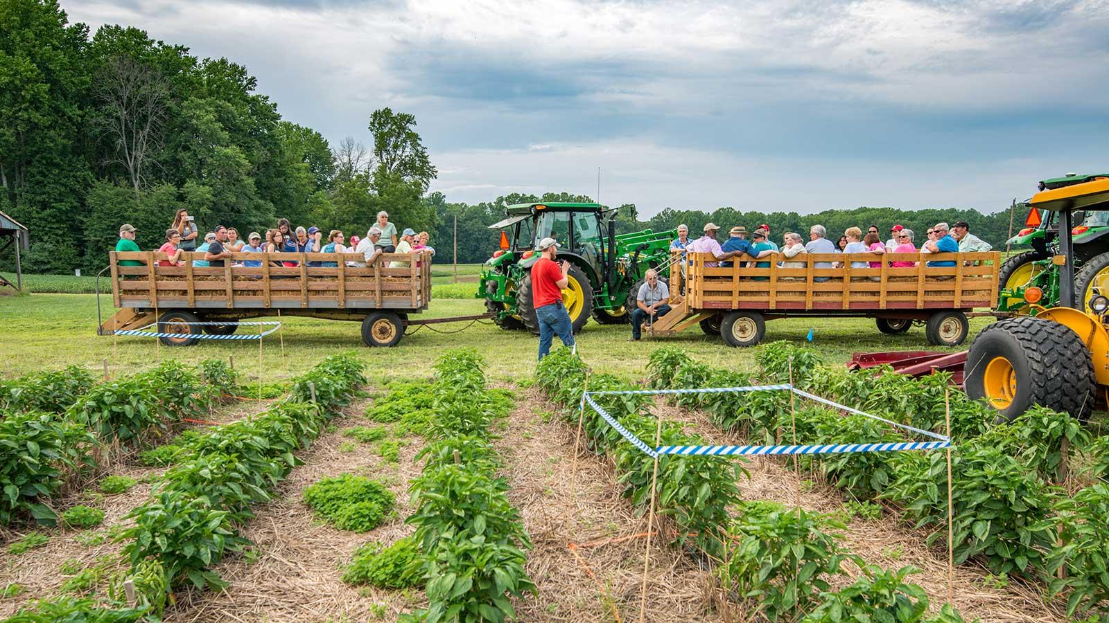 Tour at farm