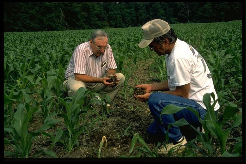 Soil compostition