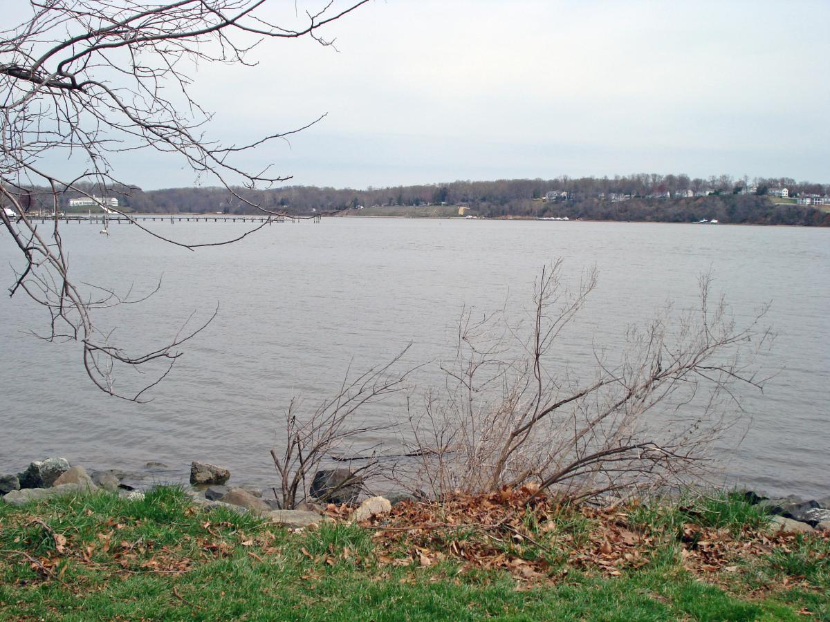 Choptank River