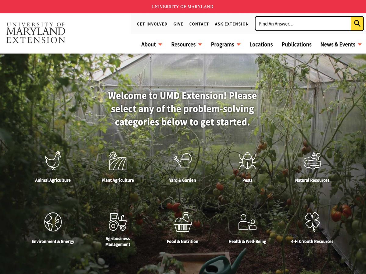 Extension website screenshot