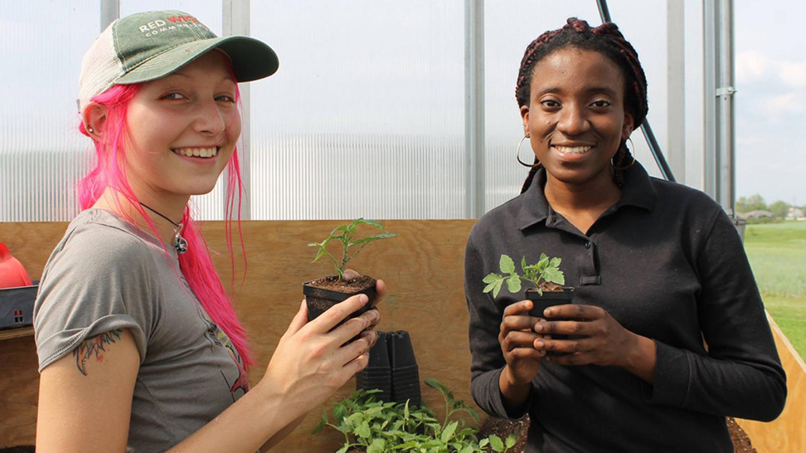 Students at their internship