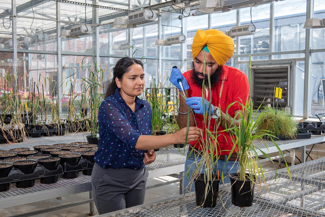 Plant Science grad students