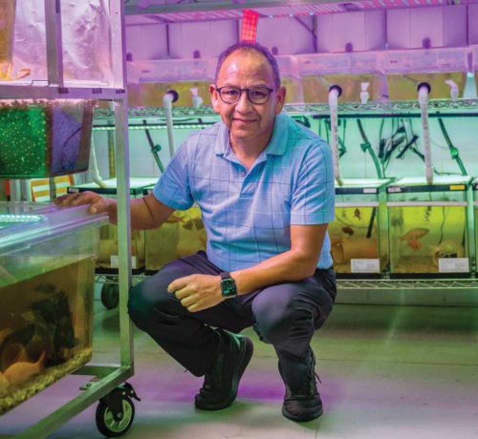 Aquaponics lab